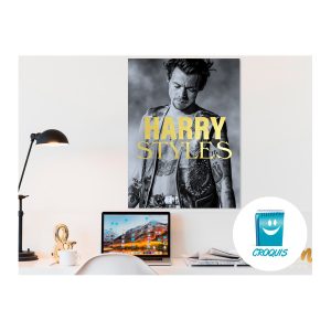 poster harry styles, descargar poster harry styles, comprar poster harry styles, poster harry styles hd, poster full hd harry styles, poster 4k harry styles, Chile poster, posters Chile, poster, carteles, afiches, descargar poster, comprar poster, tienda poster chile