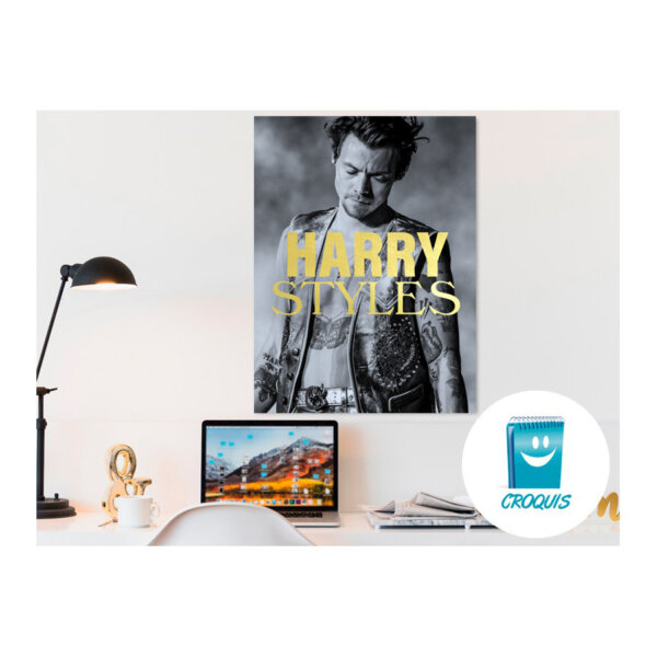 poster harry styles, descargar poster harry styles, comprar poster harry styles, poster harry styles hd, poster full hd harry styles, poster 4k harry styles, Chile poster, posters Chile, poster, carteles, afiches, descargar poster, comprar poster, tienda poster chile