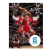 poster michael jordan en alta resolución, poster michael jordan, posters, posters hd, posters 8k, posters para imprimir, descargar posters
