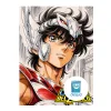 Poster saint seiya, poster caballeros del zodiaco, poster seiya pegaso, posters en alta resolución, posters profesionales, posters 8k 300 DPI, posters para descargar e imprimir, cuadros decorativos